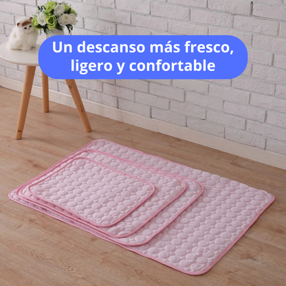 Patas Frescas